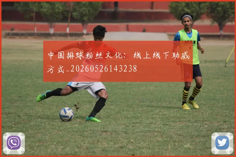 中国排球粉丝文化：线上线下助威方式_20260526143238