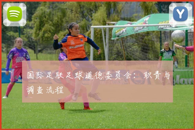 国际足联足球道德委员会：职责与调查流程